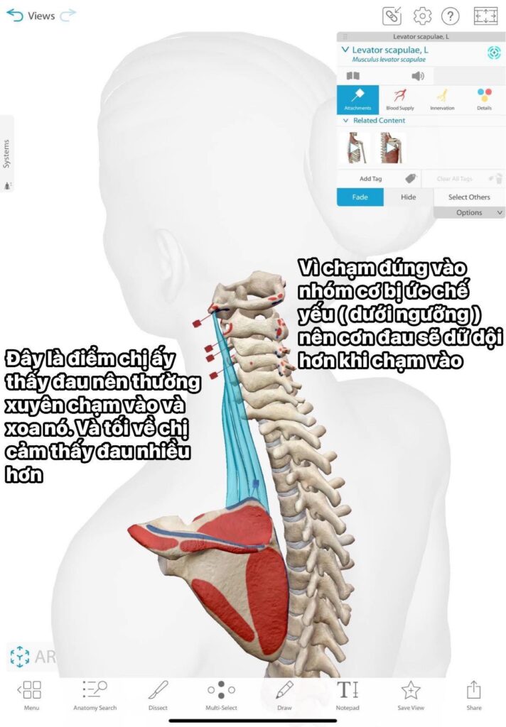 thoai-hoa-dot-song-co-anh-huong-toan-than