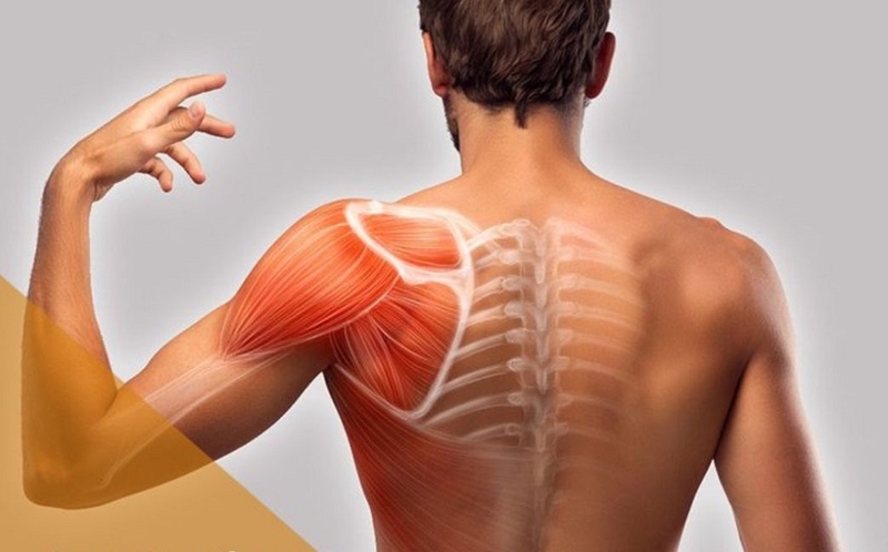 trieu-chung-dau-co-lan-toan-than